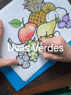 Vamos a colorear. Hoy pintamos unas uvas verdes bien jugositas. 🍇✨ Empezamos con una base de amarillo, suavecito, para que tengan luz. Luego, con verde, seguimos la forma redonda de cada uva, cuidando que no pierdan su brillo. Una por una, porque cada uva tiene su propia luz y sombra. Las que están más atrás van más oscuras, las de adelante más claritas. Así logramos que se vean reales! Y el palito, con un café oscuro para darle contraste. Descarga la página gratis aquí y coloreemos juntos: https://coloringnation.com/coloring-page/1720217 #AliciaColorea #VamosAColorear #ColorearConCrayones #UvasVerdes #ColorearFrutas #ArteConCrayones #AprenderAColorear #ManualidadesCreativas #ColoringCommunity #ArteParaTodos 