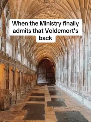 Now get out of my Castle!!✌🏻 #orderofthephoenix #umbridge #professorumbridge #harrypottertiktok #dumbledoresarmy #roomofrequirement #lunalovegood #nevillelongbottom #expectopatronum #patronuscharm #expelliarmus #lumos #Meme #MemeCut 