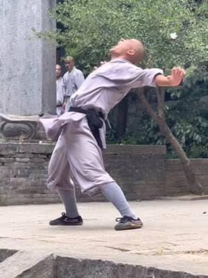 #kungfu #shaolin #shaolinkungfu #lee25dragon #viralvideo #shaolinmonk #foryoupage #tiktoklongs #fyp #views #chinesekungfu #kungfustyle #fyp 