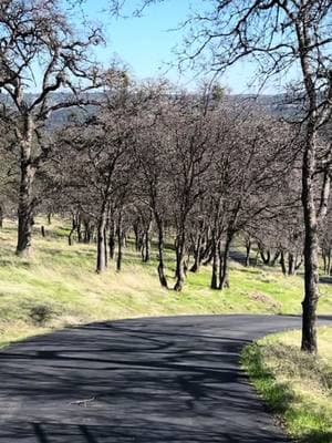 It is your road and yours alone #mortgagecowgirl #stearmanranch #dreamachiever #godisgood❤️ #blessed @Stearman Ranch General Store #happytimes #lincolnca 