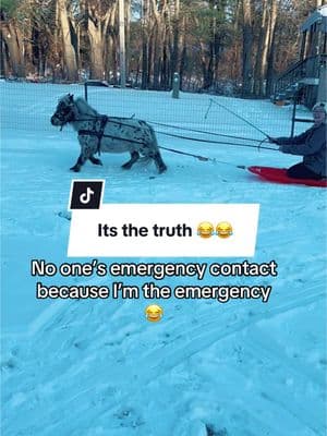 It’s the truth 😂😂 #emergencycontact #horses #horsesoftiktok #fy #fyp #fypシ゚viral #minihorse #miniaturehorse #appaloosa #carthorse #driving #sledding #farm #farmlife #horsetraining #Love #horsegirl