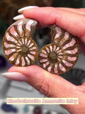 Comment your fave!  . Mini Ammonite Inlays 😍 If you’re interested in any inlays please send us a direct message!  . . .#ammonite#ammoniteinlays#fossils