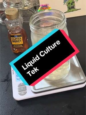 Liquid Culture Tutorial! #mushrooms #mycology #gourmet #foraging #homesteading #homesteadtoktok #tutorials #fyp #unclebens #diyproject #urbanfarming 