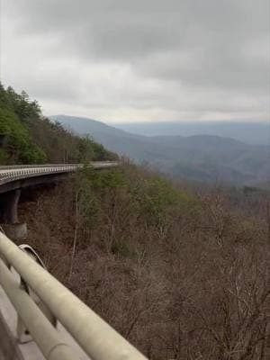 A drive through the Foothills Parkway is a reminder that nature never has an off-season. Even in winter, the rolling mist, quiet valleys, and endless mountain views make every stop along the way worth it. Take the scenic route, pull over at a lookout point, and soak in the beauty - because out here, there's no such thing as a bad view. #FoothillsParkway #ScenicDrive #WinterWanderlust #NatureEscape #MountainViews #SlowDownStayAwhile #ExploreTennessee #AnsonArborFarm #Tennessee