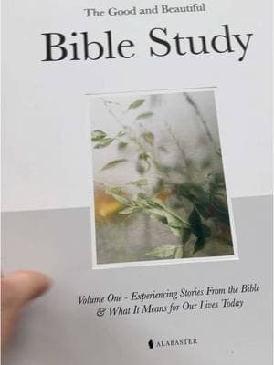 The two Bibles that I read and study from, as well as a book that was recently sent to me. I love my evening study time and I am excited to start reading “The Good and Beautiful Bible Study”. It is linked if anyone wants to join me in reading it 🤍 #bible #study #alabaster #biblestudy #jesus #faith #ourstoryhisglory 