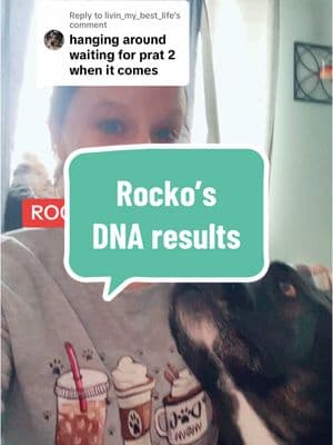 Replying to @livin_my_best_life Rocko’s DNA results #dogdna #dogdnatest #dogs #dogsoftiktok #muttsoftiktok 