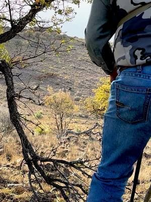 West Texas Aoudad Sheep Come Hunt H.E. Sproul Ranch  #royhurley #sproulranch #hunthesproulranch #kuiu #kuiunation #kuiu_official #ranchlife #KeepRanchin #foryoupage #outdoorsmans #aoudad #aoudadhunting #westtexasaoudad 