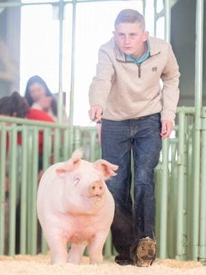 The Moment vs the picture! Krew J and Humpty at Western Bonanza livestock show! #pigs #livestock #stockshowlife 