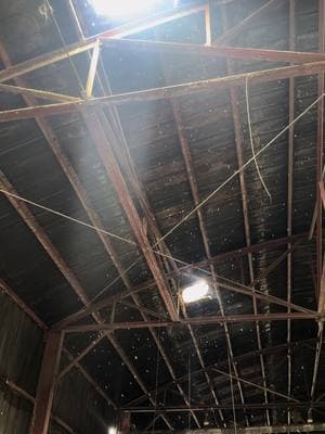 When your 100-year-old factory decides it wants a skylight... but Mother Nature had other plans. Yep, it’s literally snowing inside. But don’t worry—repairs are on the way, and soon this old beauty will be back to keeping the snow outside where it belongs! Until then, we’re just over here making glass in a winter wonderland. #blenkoglass #blenkoglasscompany #BlenkoGlass #glasstok #AppalachianArtistry #fyppopoppppppp 