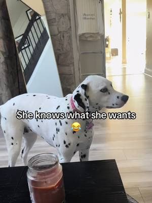 😂😂😂 #dog #dogs #puppy #dogstagram #doglover #Love #pet #dogoftheday #cute #doglovers #pets #dalmatian_feature #dalmatiandog #dalmatianworld #dalmatianlove #dalmation #dalmatianpuppy #dalmatiannation #dalmatianlovers #dalmatians #dalmatiansofinstagram #momsontiktok #MomsofTikTok #momsover30 #momsbelike #momsover40 #momsoftiktokclub #momslife #momlife #momtok 