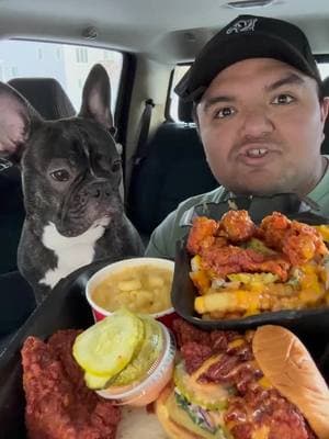 🐶…I’ll have what he’s having👀 #fyp    #daveshotchickenreview #spicychickensandwich #davesmacandcheese #foodreview #FoodTok #davessaucdavessauce #nashvillehotchicken @Slice 