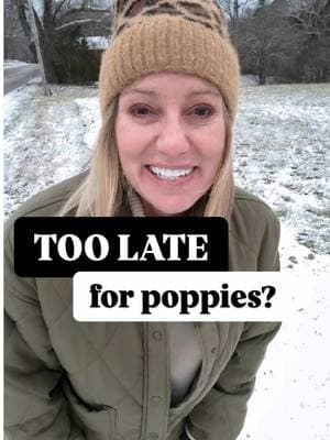 HELP! Give me poppy tips and if you don’t have poppy tips, follow along to see if they bloom! 🌸 Poppies are gorgeous and I’ve always wanted to grow them. This is season 1 of “Hey Honeysuckle Learns to Grow Poppies!” 😂 Feel free to join me or take notes and we’ll do it together next year…if it works! 🎉 And check out how I started this no-till garden in highlights on my Instagram page. This is my first attempt at planting anything in it! ☀️☀️☀️ Have I started too late? Did I do it right? Give your girl some help over here! ☺️ #poppies #poppyseeds #plantingseeds #flowergardening #plantingflowers #homeandgarden #beginnergardener #countryliving #flowergarden #cottagegarden  #springflowers #notillgardening #notill 