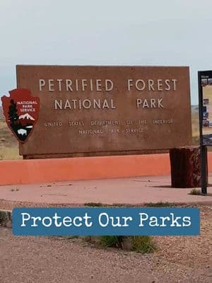 A few scenes from the incredible Petrified Forest National Park. In addition to the forest, the remnants of ancient villages and petroglyphs were exciting surprises at this park. These are special places work protecting.  #NPS #NationalParks #PetrifiedForest #SaveOurParks #ProtectOurParks #ProtectPublicLands #GetOutdoors 