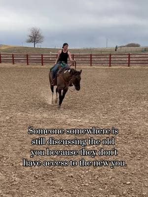 #grulla #paintgelding #grullapaint #gelding #ranchridinghorse #wlw #lesbian #colorado #jealousexes 