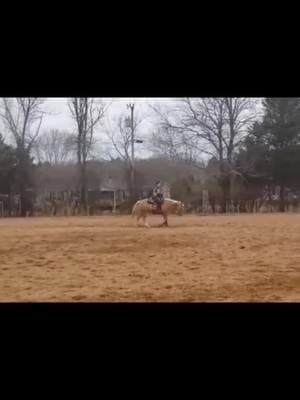 My girl... 🩷 From 3 years ago. We're waiting for her last baby so she can return to the show pen for my kiddo... and me 😉  #besthorseever #horsesoftiktok #equestriansoftiktok #aqha #palomino #besthorse #bestmare 