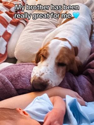 We wondered how our first baby was going to to when we brought home our first human baby… and Sully has been the BEST big brother🩵 #fyp #basset #hound #baby #bond #brother #cute ##sweet##puppy##human##bestfriend##bassethound