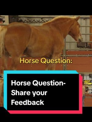 Horse question: What aspect of horse-related learning is least addressed? Share your comments below. #alternativehorsemanship #horse #horsequestions #horselearning 