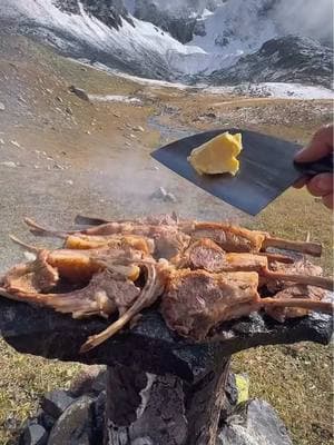 Lamb chops grilled on hot stones over a Swedish torch in nature 🔥🥩🪵🏔 #outdoorcooking #cookingasmr #Recipe #leon #cookingnature #foodtiktok #camping #cooking #lamb 