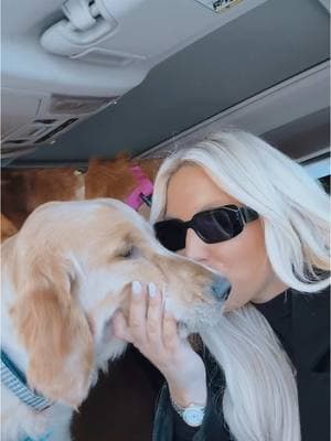 POV you’re a realtor and your client has four golden retrievers that they just drove across country with so you have to sit in the car with them while they sign their closing docs.. 🦮🦮🦮🦮👸🏼❤️ #RaleighNC #realtoroftiktok #realtorlife #ncrealtor #realtors #realtorhumor #realtortok #raleighrealtor #raleighrealestate 