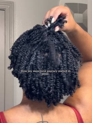 a consistent routine and a good low tension, low manipulation style is gonna get you results everytime🤭✨ I’m locked in w/ mini twists cuz the proof is there💕 #minitwisthairstyles#naturalhairtiktok#type4bhair#minitwistsonnaturalhair#hairgrowthjourney  