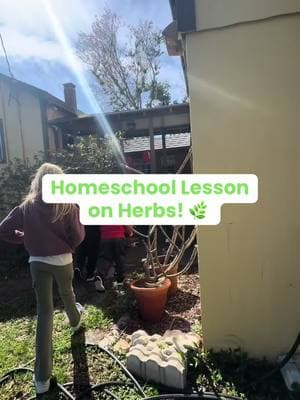 And the tea was delicious! #diyteabag #herbs #natureclass #homeschool #homeschoollesson #homeschoolers #sahmsoftiktok #homeschoolersoftiktok #howtohomeschool #farmschool #gardenschool #gooutside 