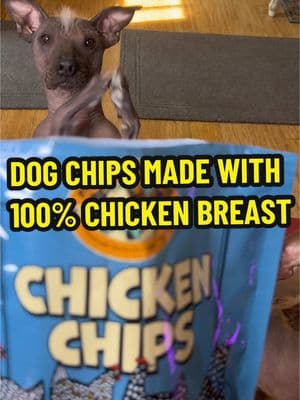 Give your dog the best treat that they deserve. These crunchy chips are made of 100% chicken breast. Your dog will love it. ##dogchips##bestdogtreats##treatgordogs##healthytreatsfordogs##packapproved##dogfood##TikTokShop##dogshop