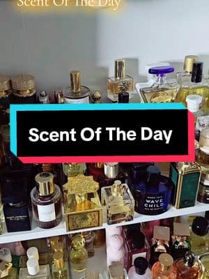 Combining these two fragrances results in a complex and rich scent profile. The sweet, nutty, and citrus elements of Devotion Intense blends harmoniously with the floral and vanilla notes of The Kingdom, creating a balanced and multifaceted aroma. #sotd #scentoftheday #whatareyouwearing #yousmellgood #daytimescent #daytimefragrance #layeringcombo #combo #layeryourfragrances #uniquescent #perfumetok #fragrancetok #perfumes #middleeastern #thekingdom #devotionintense #dolcegabbana #lataffa 