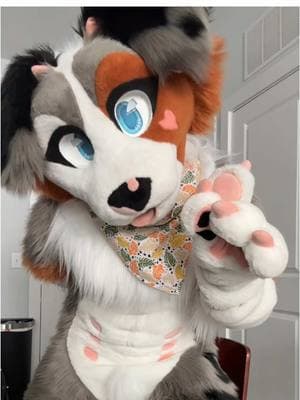 this is a /hj btw, obviously dont let your time be consumed by things like furry bewares and negativity #furryfandom #furry #fursuiter #fursuit #sheenitude #furries  #furrytiktok #fypシ #fypシ゚viral #furrycommunity 