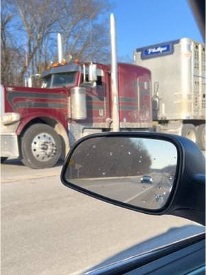 @Tanner Phillips #cowtruck #cowtruckin #bullhaulin #peterbilt #fyp #fypシ゚viral #fypage #wilson #kentucky #bluegrassstockyard 