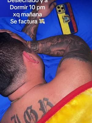 😴😴  #unlobodomesticado ✅