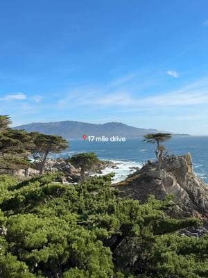 Cruisin’ down the prettiest 17 miles!  🌊✨ #monterey #17miledrive #scenicdrive #california #pacificcoast #pebblebeach 