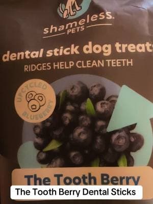 The Tooth Berry Dental Sticks With Real Blueberry And Mint by Shameless Pets #allaboutollie #fypage #shamelesspets #dentalsticks #dogtreats #blueberry 🫐 #PetsOfTikTok #dogtok #TikTokShop #creatorsearchinsights 