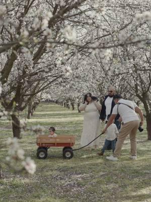 These almond trees are the beautiful scenario for family photos. #pov #almondblossom #minisessions #almondblossomphotoshoot #photographerpov 