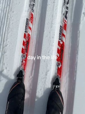 Ski pasta repeat ⛷️🍝 #ditl #dailyvlog #crosscountryskiing #parkcity #skivacation #deervalley #sotomethod 