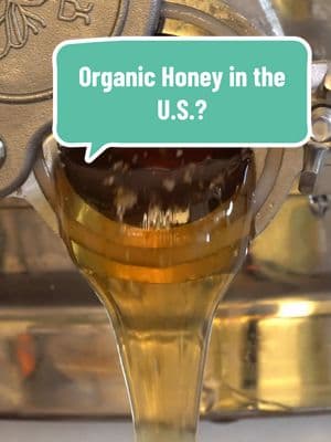 Replying to @paulbanjavcic Organic Honey in the US #honey #organic #organichoney #beekeeping #honeyharvest #beekeeper #LearnOnTikTok #beetok 