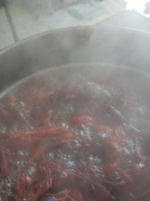 Capt.Pat's Shrimp & Seafood   Crawfish Boils  #crawfish #crawfishboil #cookingvideo #video #v #viraltiktok #fyp #fyppppppppppppppppppppppp #fypage #fypシ #foryoupage #captpatsshrimpseafood #massfollowing #fishmarket #fishmonger #seafood #cajun #cajuncooking 