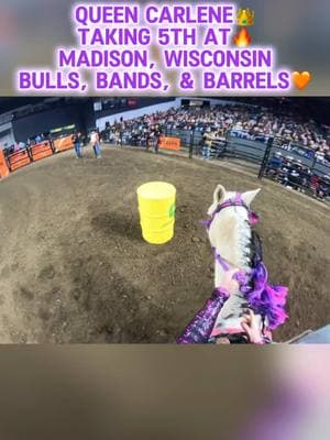 Off to Jacksonville for our next stop on the @Bulls, Bands & Barrels tour and to spend some time in the Sunshine State!🎉🌞 #Carlene #QueenCarlene #CarlenetheWonderPony #LittleSmartie #bossmare #gopro  #goprohero11 #goproequestrian #barrelracingpov #teammastersaddles #rodeo #rodeoroad #rodeoseason #rodeoseason2025 #bullsbandsandbarrels #california #barrelbetty #barrelracerland #barrelracingtok #rodeotok #horsetok #queenqh #queenquarterhorses #barrelhorse #barrelracing #aqha #nbha #ibra #ipra #wpra #wrca #prca #teamCEP #gottalittlemohair #gottalittlemohairdesigns #impactgel #impactgelsaddlepads #bocabrand #meyerdavisfarms #myclassifiedads #mcarusselljohns #mastersaddles #lacyboots #performancestallmats #cavalor #sundialshowclothing #nutrenafeed #platinumperformance #Igbt #Igbtequestrian #fyp #foryou #foryoupage #CapCut 