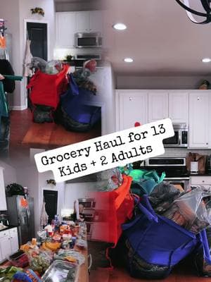 Wow what a grocery haul…. Shopping for this many people is a work out. #grocery #groceryshoppingonabudget #groceryhaul #groceries #largefamily #walmart #walmartshopping 