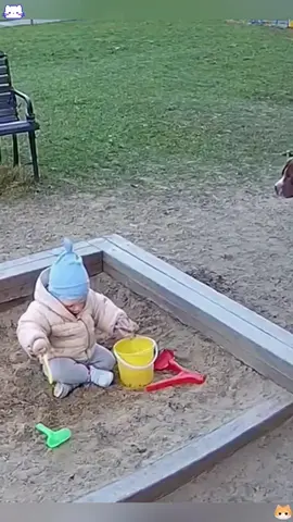 Video 2