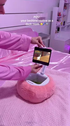 Video 1